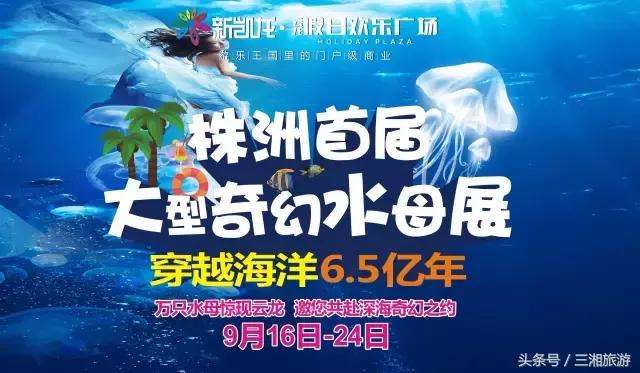 株洲神农城水母,株洲海洋馆水母王国