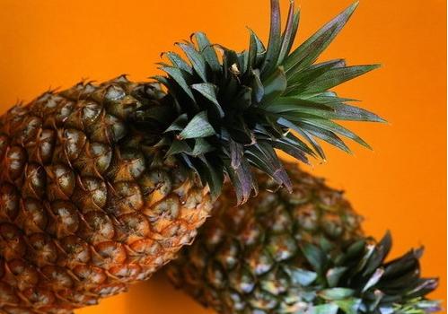 新房子除甲醛什么花好,正规新房子除甲醛价钱