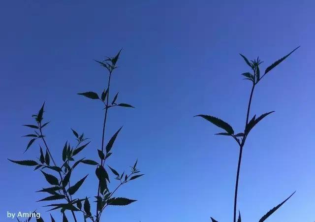 蓝汛通信技术,蓝汛通信怎么样