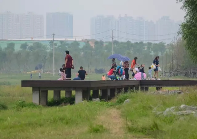 美丽的郑州北龙湖湿地公园,郑州北龙湖湿地公园初冬游记