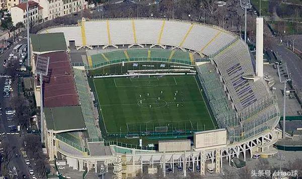 意甲紫百合是哪支球队,意甲紫百合完整视频