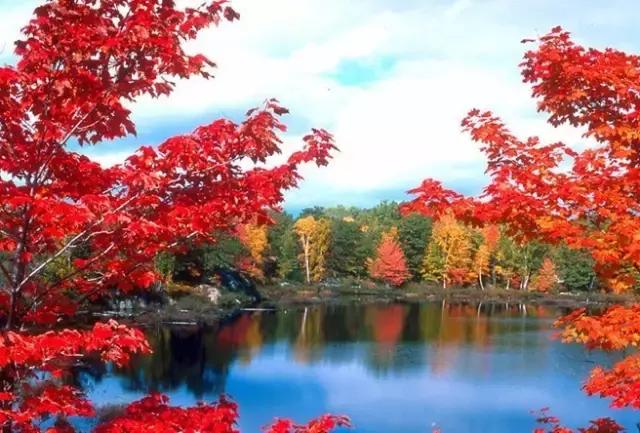 2018加拿大签证新政策是什么样的,2017加拿大签证攻略