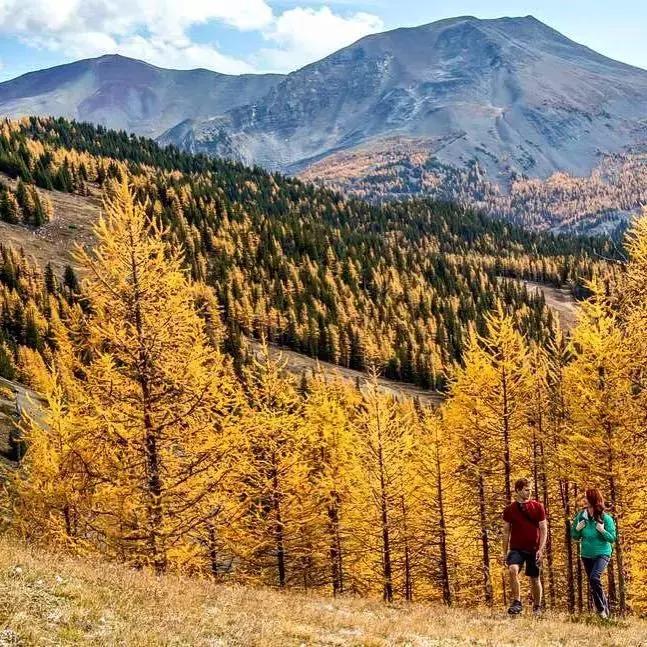 2018加拿大签证新政策是什么样的,2017加拿大签证攻略