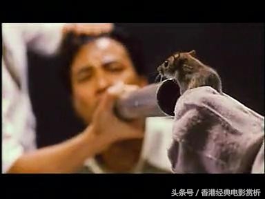 香港跑马地纸盒藏尸案没有人证仅凭科学鉴证将疑犯定罪?!