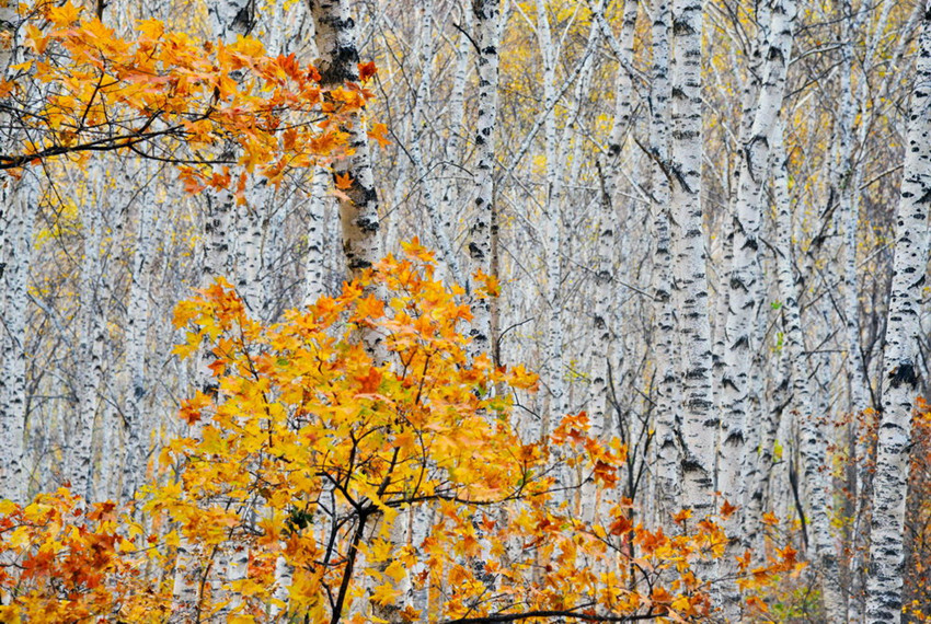 喇嘛沟景区游览攻略,北京喇叭沟旅游攻略
