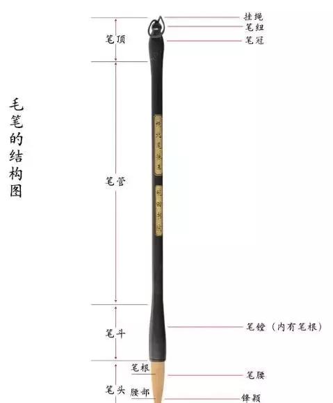 如何挑选毛笔笔锋长短,怎样挑选书法毛笔