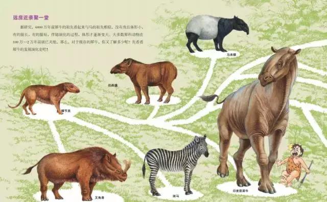 培养孩子10岁科学兴趣的书籍,科学培养孩子阅读能力