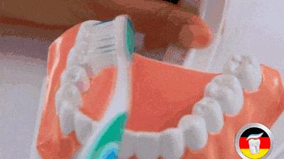 蛀牙的修补和牙齿矫正的问题,爱牙日公益讲座视频