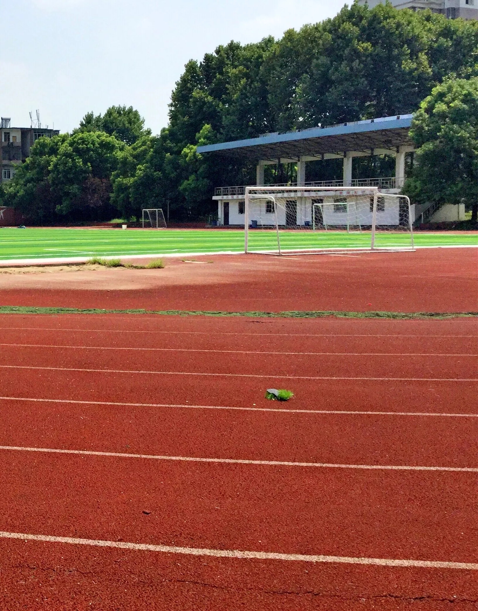 九江六中好不好,好久不见六月