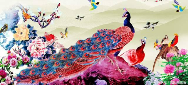 百鸟展门票,百鸟展门票早鸟票