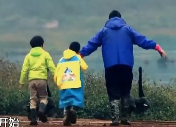 爸爸去哪儿你不知道的事,爸爸去哪儿真心话问答