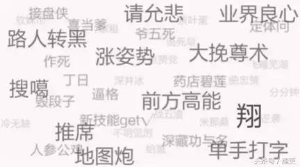 文玩菩提的技巧,文玩菩提的基本知识