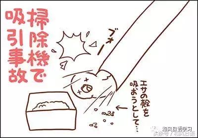 不小心踩死自己的宠物痛哭流涕,不小心把宠物压死了