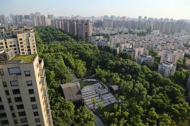 哈嗲！120000㎡一眼望去全是绿！全上海唯一森林音乐会免费赠票啦