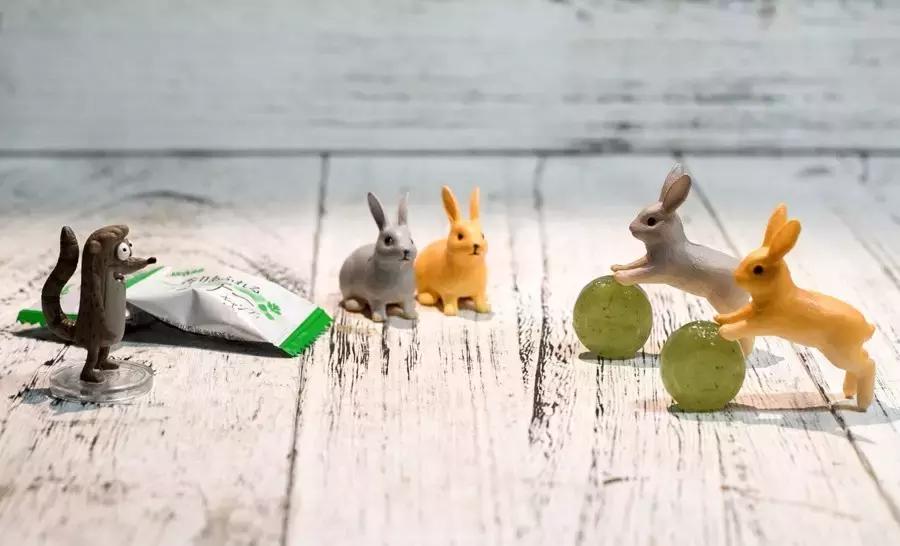 测了17款“网绿”香菜零食,种下了这几样草