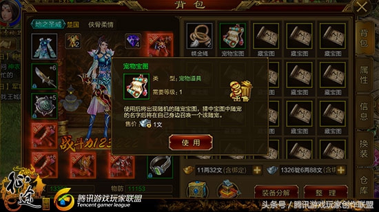 宠物宝贝的图片可爱,宠物宝贝高清图