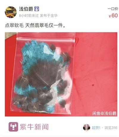 点翠的美丽与残忍,点翠为什么是残忍的