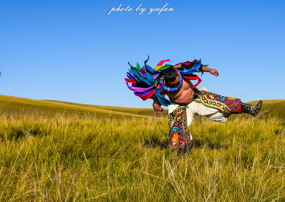 草原上的民间游戏，牛羊在吃草，牧民在搏克