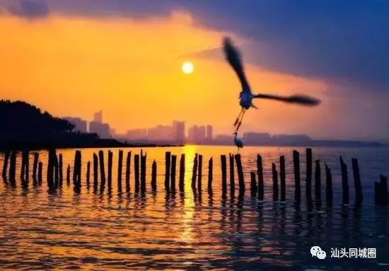 汕头国庆一日游最佳景点,国庆不花钱旅游