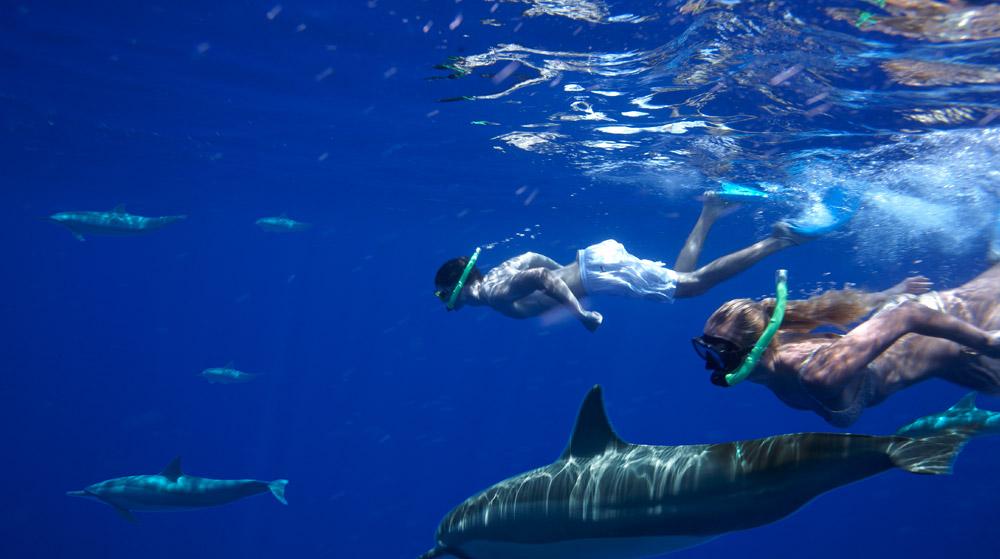 毛里求斯有什么值得去,国庆毛里求斯