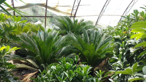 13个最赚钱的小本创业项目有哪些,适合穷人的90个小本创业项目见效