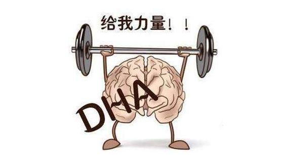 孕期营养补充指南建议收藏,怀孕初期吃不下饭怎么补充营养