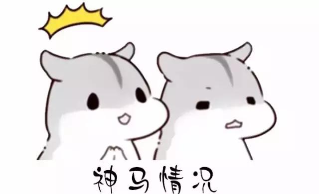 一次意外动物和人类互换了灵魂,为什么荷兰猪会突然变得很烦躁