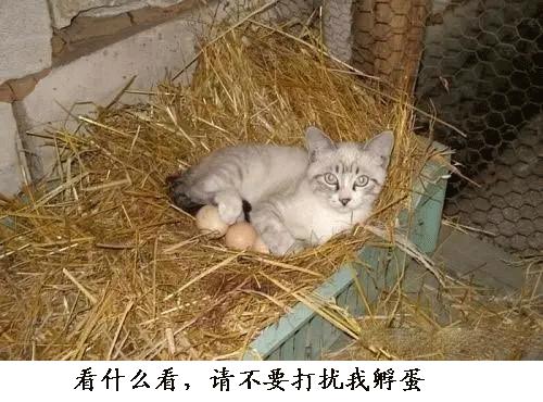 女朋友说给我尝一口怎么幽默回复,女朋友说给我吃东西怎么回