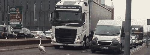 女朋友说给我尝一口怎么幽默回复,女朋友说给我吃东西怎么回