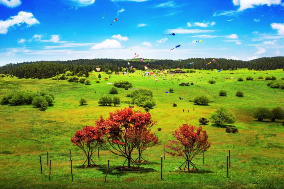 武隆美景全攻略,武隆大自然风景