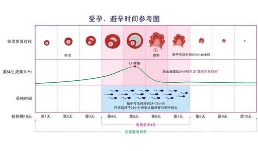 备孕排卵试纸强阳吗,备孕需要准备多少排卵试纸