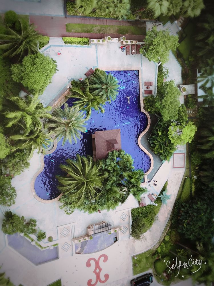 北纬18度的爱意味着什么,北纬18度的爱