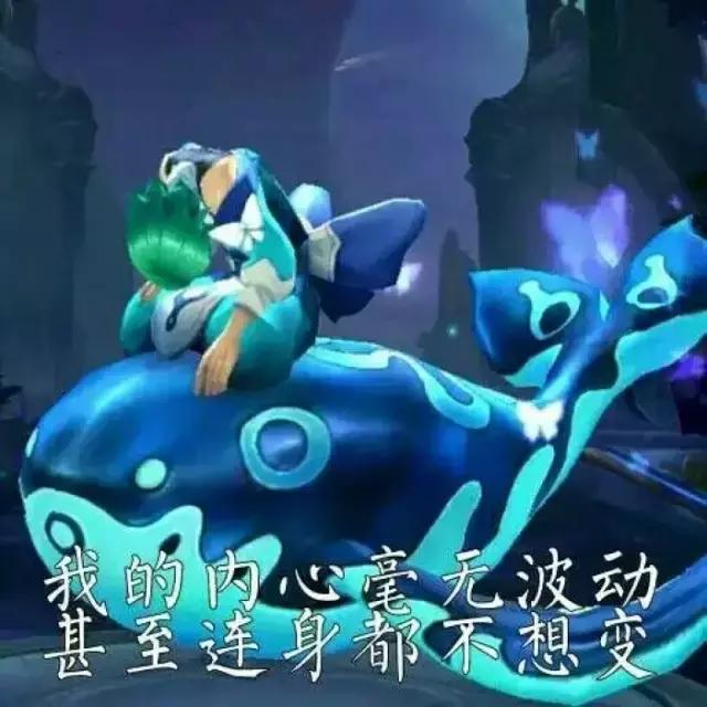 一次意外动物和人类互换了灵魂,为什么荷兰猪会突然变得很烦躁