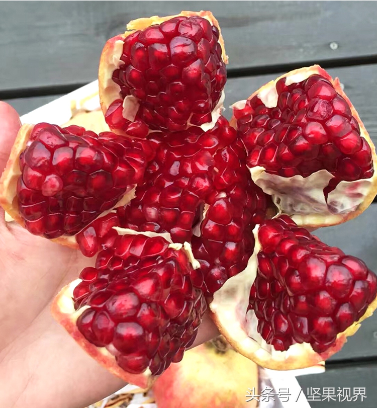 正宗会理石榴突尼斯软籽石榴,好吃不吐籽的突尼斯软籽石榴来了