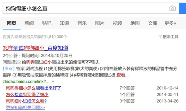 萨摩耶被小马犬咬,家养的萨摩耶会得细小吗