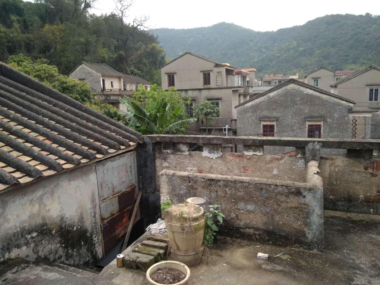 沙田村旅游攻略,广东东莞乡村休闲体验季