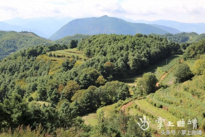 晏廷章：陡红山上种当归