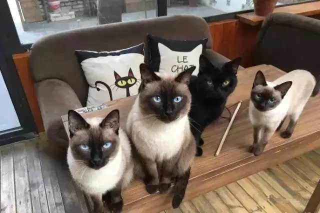 去郑州哪里旅游最便宜又好玩,郑州值得旅游的地方有哪些