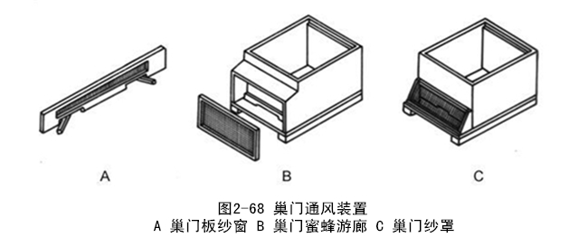 蜂头领转地蜂箱的通风装置与通风类型