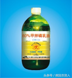 韭菜都打什么农药,韭菜舌尖上的农残高危蔬菜