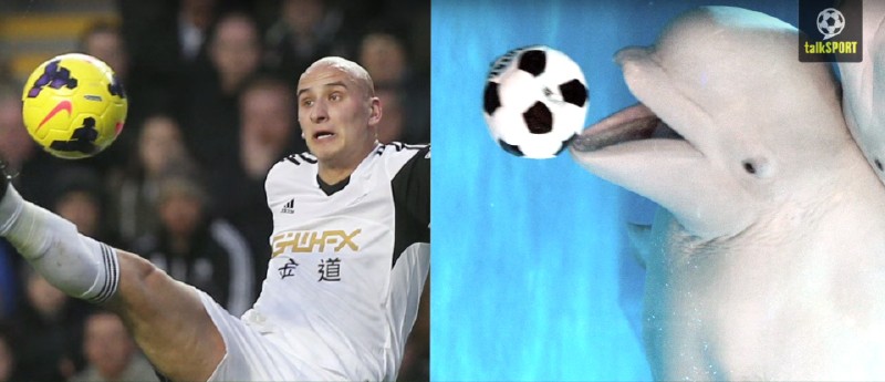 太像了！太像了！你喜欢的足球运动员像什么动物？