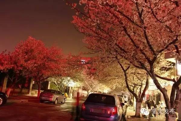 小手牵大手一同去郊游,小手拉着大手一起郊游