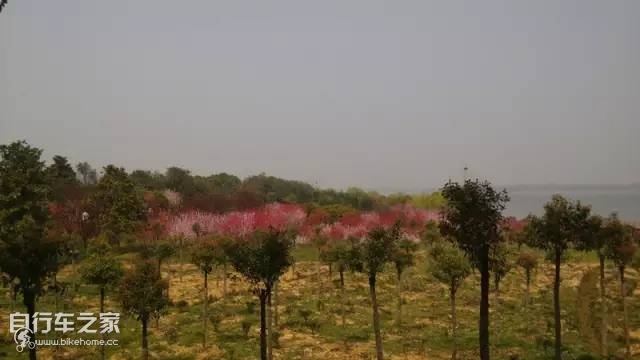 车友游记：骑着折叠车游花山