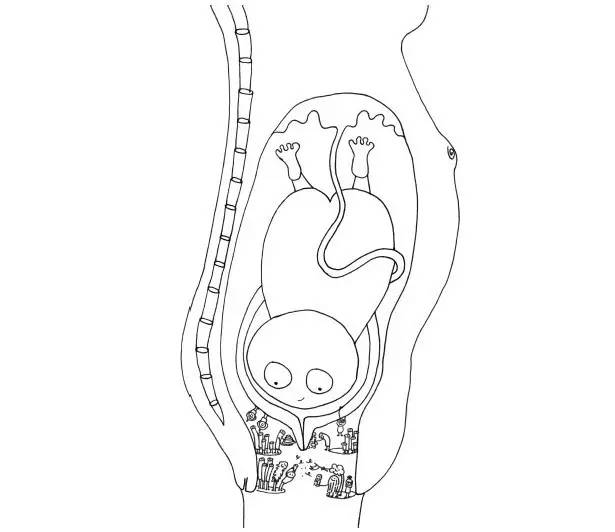 肠道菌群理论八句话,肠道菌群基因与人类基因
