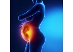 怎样才知道肚子里的宝宝是男的,如何看出肚子里面的宝宝是男女