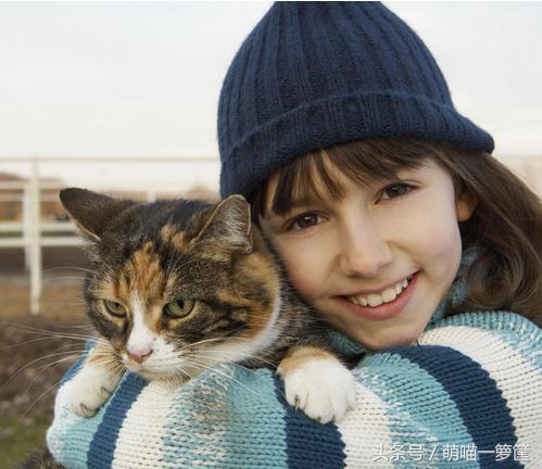 家猫离世后该如何走出伤痛