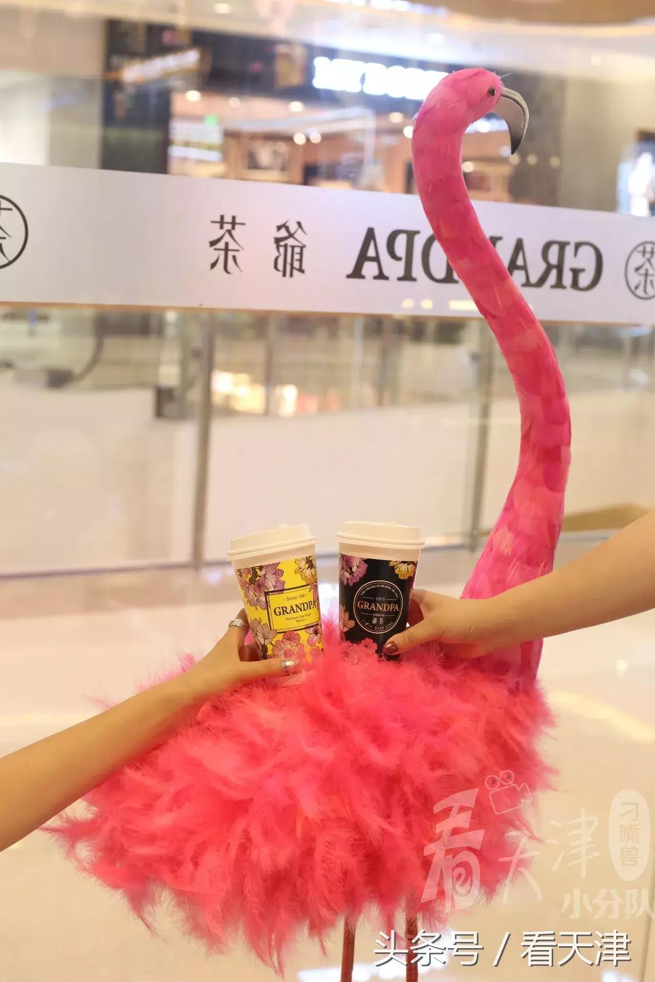 天津终于迎来台湾排队王“爷茶”！爷爷泡的网红茶！