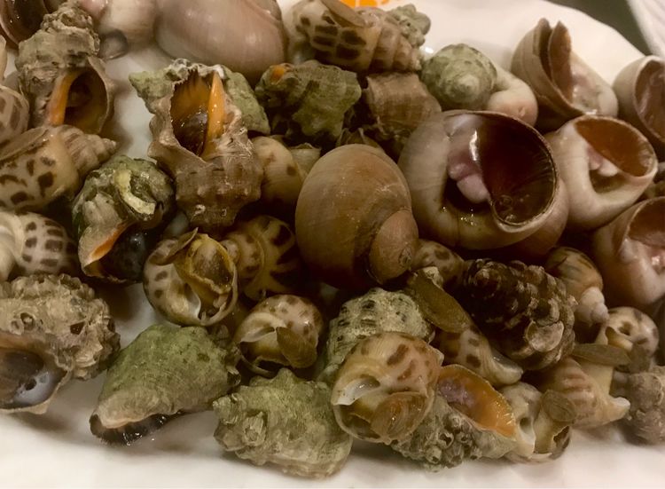 东海沈家门海鲜,沈家门旅游海鲜攻略