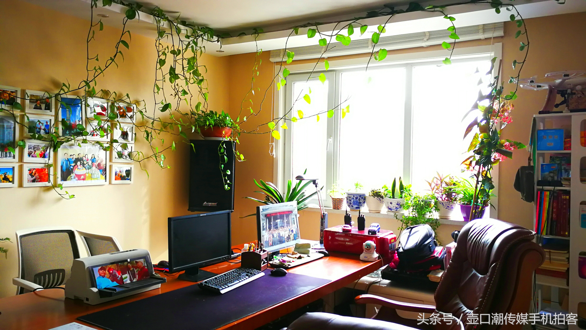 临汾:手机拍拍工作室的花~再好的装修也比不了和大自然和谐相处