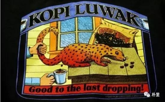 猫屎咖啡的由来和传说,传说中的猫咪咖啡